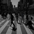 DSC 0071