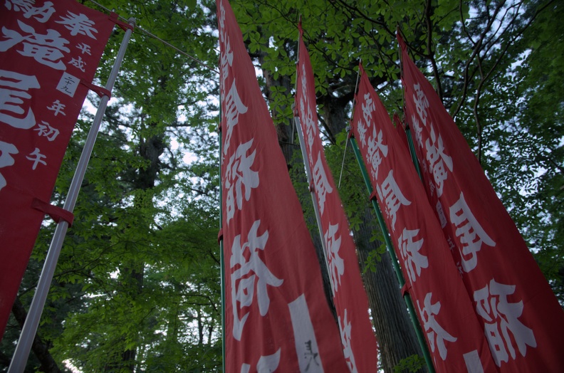 DSC_0174.jpg