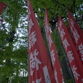DSC 0174