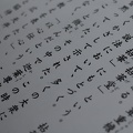 DSC 0470