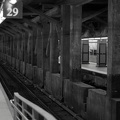 DSC 9908